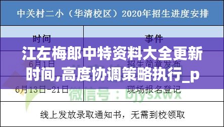 江左梅郎中特资料大全更新时间,高度协调策略执行_pack5.892