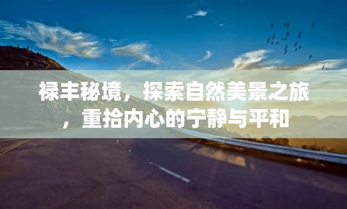 风流儒雅 第3页