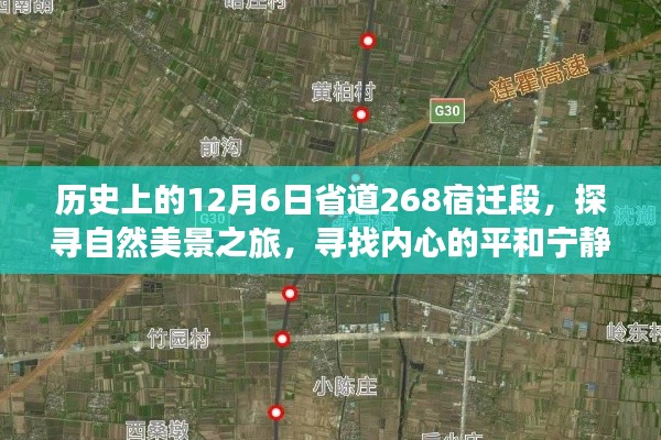 探寻自然美景之旅，历史上的12月6日省道268宿迁段的心灵之旅