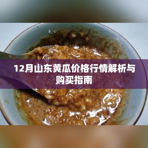 正声雅音 第3页