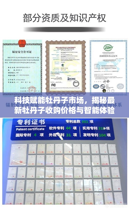 花开无言 第3页