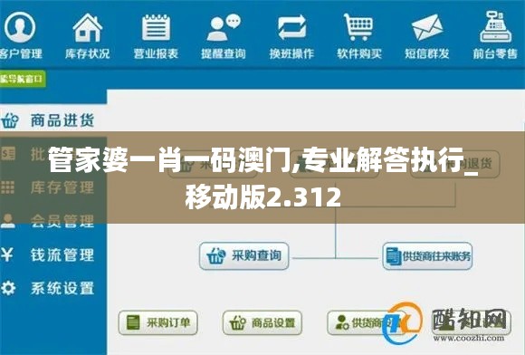 管家婆一肖一码澳门,专业解答执行_移动版2.312