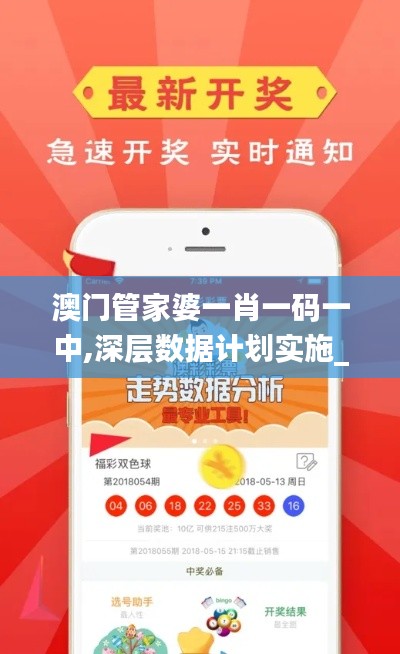 澳门管家婆一肖一码一中,深层数据计划实施_移动版11.270