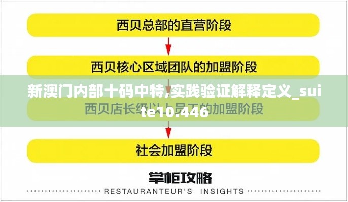新澳门内部十码中特,实践验证解释定义_suite10.446