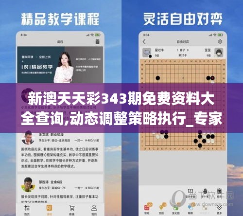 新澳天天彩343期免费资料大全查询,动态调整策略执行_专家版9.326