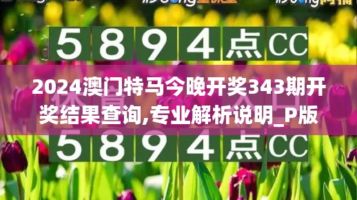 2024澳门特马今晚开奖343期开奖结果查询,专业解析说明_P版7.792