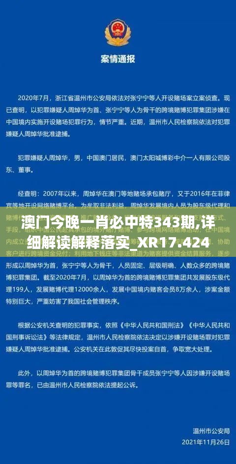 澳门今晚一肖必中特343期,详细解读解释落实_XR17.424