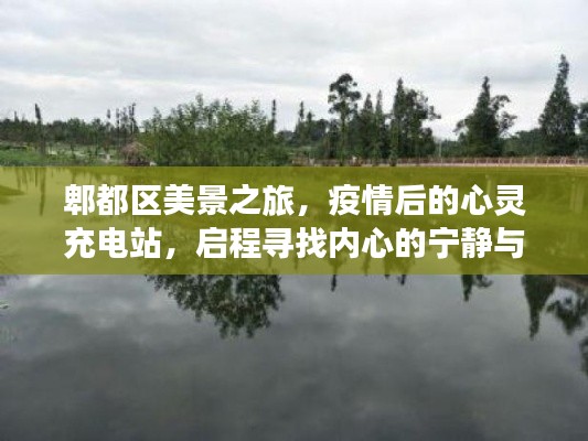 郫都区美景之旅，疫情后的心灵充电站，探寻内心宁静与平和的旅程