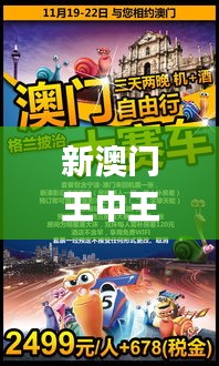 新澳门王中王100%期期中,实地执行考察设计_9DM7.148