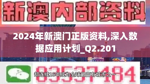 2024年新澳门正版资料,深入数据应用计划_Q2.201