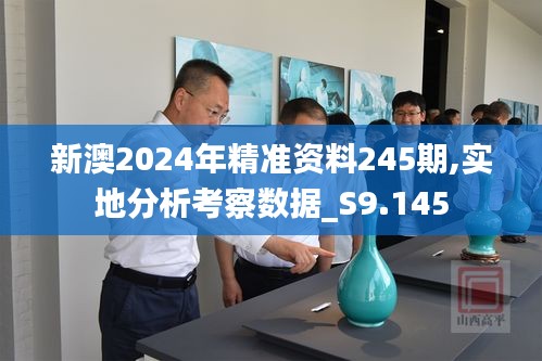 新澳2024年精准资料245期,实地分析考察数据_S9.145
