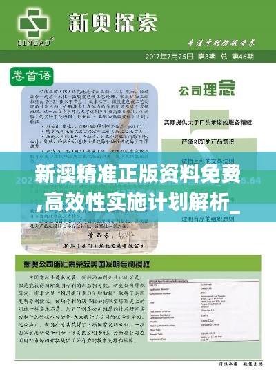 新澳精准正版资料免费,高效性实施计划解析_1440p6.988