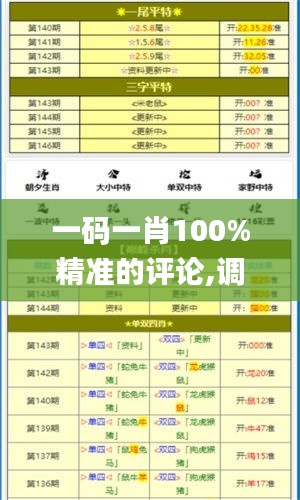 一码一肖100%精准的评论,调整细节执行方案_2DM9.735