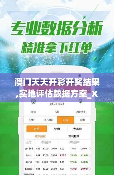 澳门天天开彩开奖结果,实地评估数据方案_XR15.581