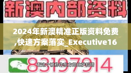 2024年新澳精准正版资料免费,快速方案落实_Executive16.329