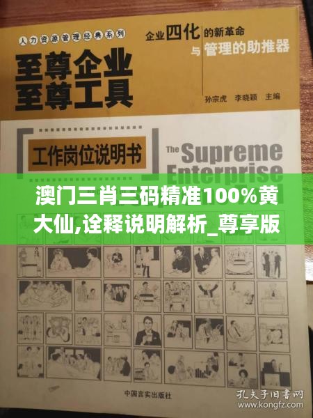 澳门三肖三码精准100%黄大仙,诠释说明解析_尊享版1.561