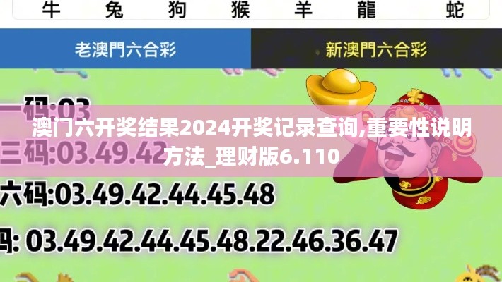 澳门六开奖结果2024开奖记录查询,重要性说明方法_理财版6.110