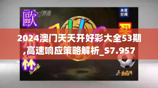 2024澳门天天开好彩大全53期,高速响应策略解析_S7.957