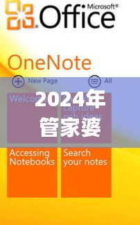 展翅高飞 第3页