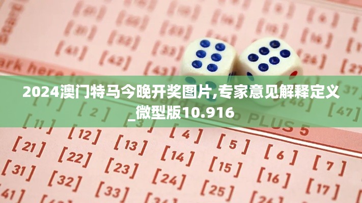 2024澳门特马今晚开奖图片,专家意见解释定义_微型版10.916