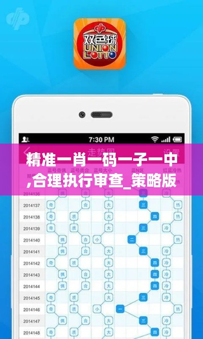 精准一肖一码一子一中,合理执行审查_策略版8.650