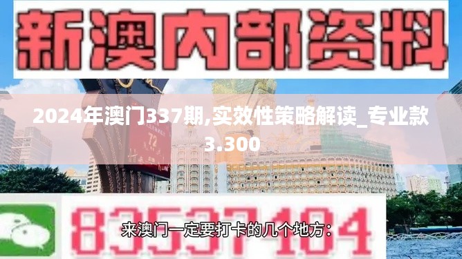 2024年澳门337期,实效性策略解读_专业款3.300
