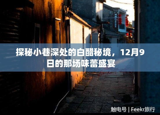 林下风气 第3页