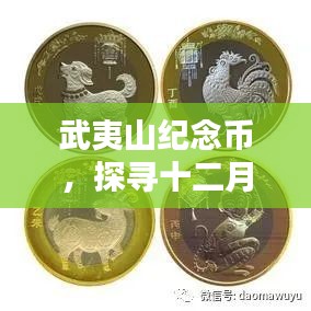武夷山纪念币，探寻十二月新篇章的别样魅力