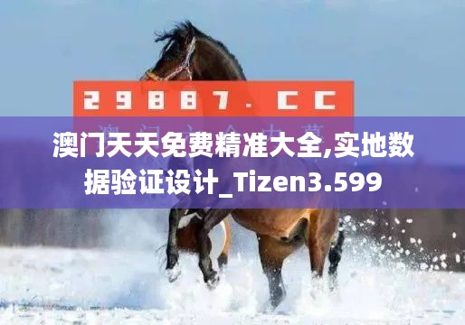 澳门天天免费精准大全,实地数据验证设计_Tizen3.599