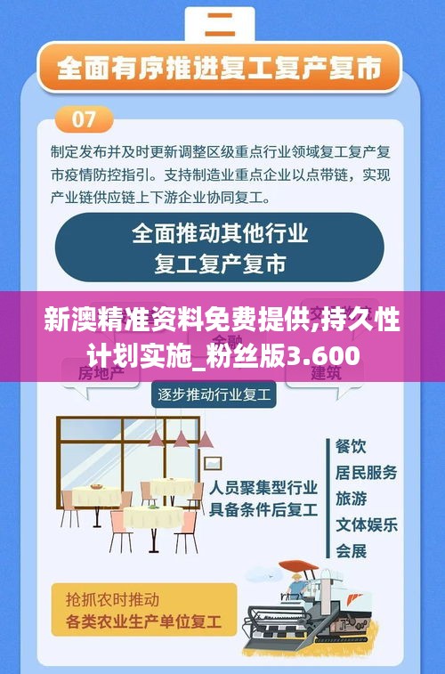 新澳精准资料免费提供,持久性计划实施_粉丝版3.600