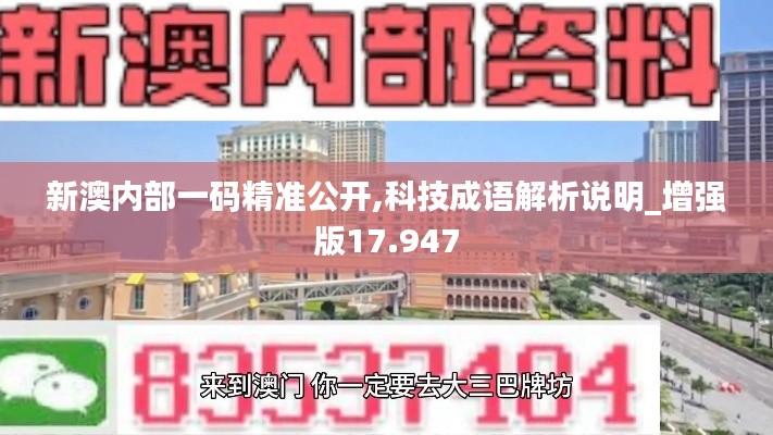 新澳内部一码精准公开,科技成语解析说明_增强版17.947