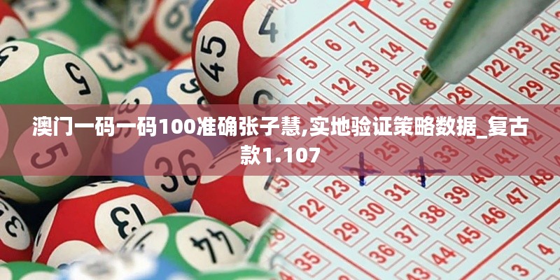 澳门一码一码100准确张子慧,实地验证策略数据_复古款1.107