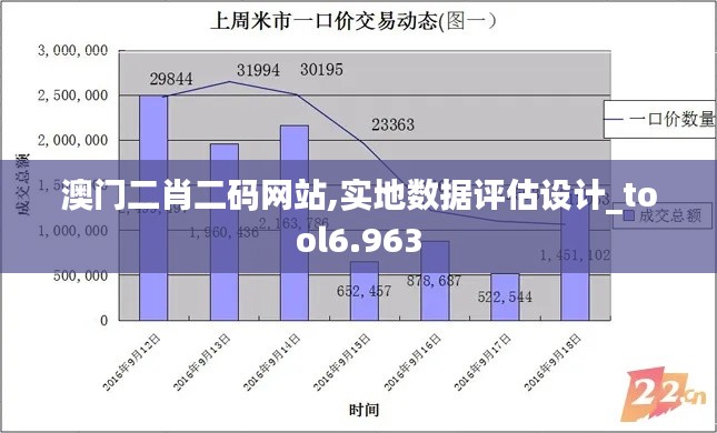 澳门二肖二码网站,实地数据评估设计_tool6.963