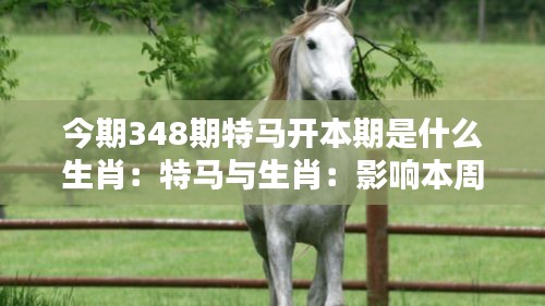 风驰电掣 第3页