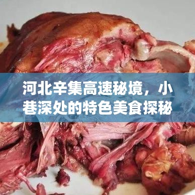 全始全终 第2页