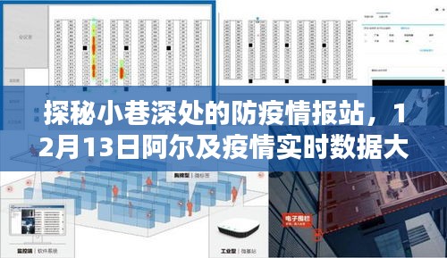 小巷深处的防疫情报站揭秘，阿尔及利亚疫情实时数据解密（12月13日）