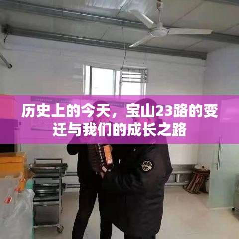 宝山23路变迁与我们的成长之路，历史视角的回顾