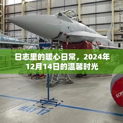 衣不兼采 第2页