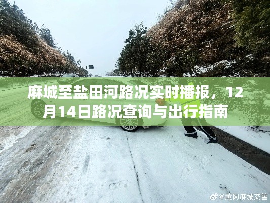 麻城至盐田河路况播报，12月14日实时路况与出行指南