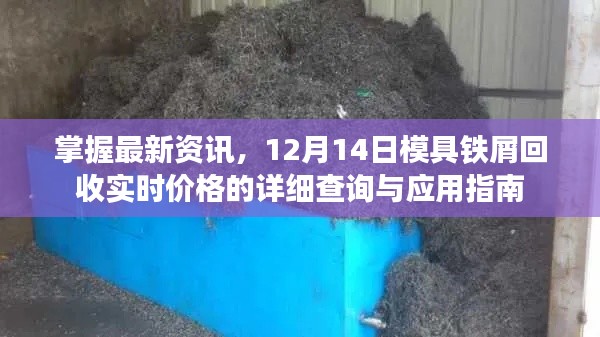 模具铁屑回收实时价格查询指南，掌握最新资讯与应用技巧