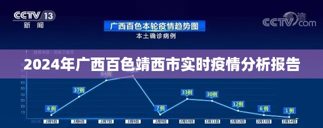 广西百色靖西市实时疫情分析报告，深度解读疫情现状与趋势（2024年）