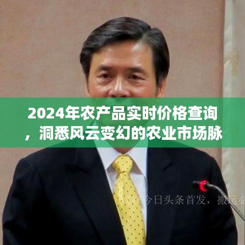 千里迢迢 第3页