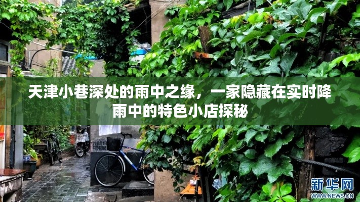 天津雨巷深处的特色小店探秘，雨中之缘的奇缘之旅