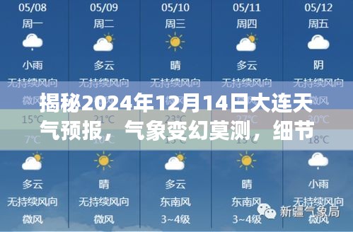 揭秘大连天气预报，气象变幻莫测，细节洞察天机（2024年12月14日）