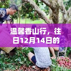 破马张飞 第3页