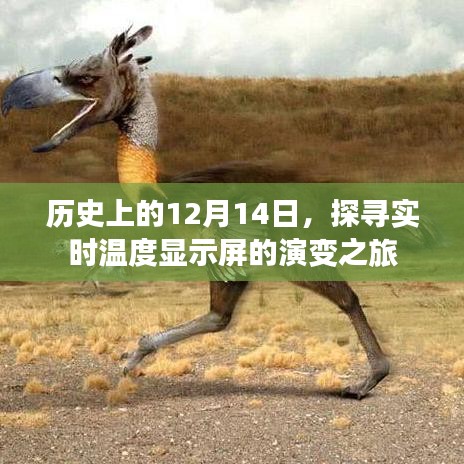 没精打采 第2页
