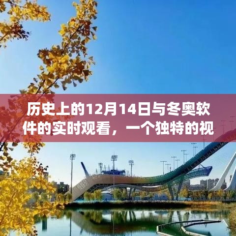 历史视角下的冬奥软件实时观看，独特视角解读12月14日