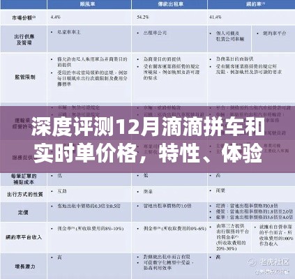深度解析，滴滴拼车与实时单体验评测，价格、特性、竞品对比及用户群体洞察