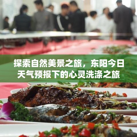 飞蝗芜湖 第2页
