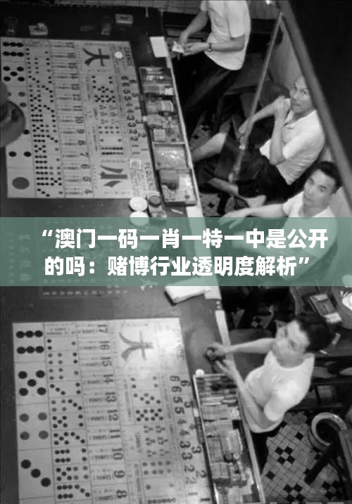 “澳门一码一肖一特一中是公开的吗：赌博行业透明度解析”